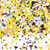 Confetti Champagne Glass 14g