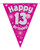 Pink Holographic Bunting 11 Flags Age 13
