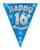 Blue Holographic Bunting 11 Flags Age 16