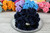 Foam Roses 5.5cm S Pk6 Navy