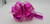 Deluxe Pullbow Hot Pink