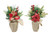 POINSETTIA PINES IN POT 43cm Choice of 2 Styles