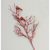 72cm Glitter Twig and Bird Spray Red