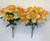 Daffodil Narcissus Bush 8 Heads