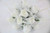 Posey Of 12 Foam Rose Buds With Tulle Wrap White