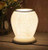 Desire Aroma Angel Wings Ceramic Electric Touch Lamp Wax Melt Oil Burner