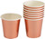 Rose Gold Mini Shot Glass Pk8