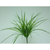 Artificial Grass Bush Light Green 41cm