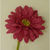 Gerbera Hot Pink 45cm