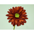 Artificial Gerbera Single Stem Red 45cm