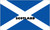 Flag Scotland 45cm