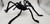 90cm Black Furry Spider