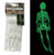 GLOW IN THE DARK  SKELETONS 20 Cm 2 PK