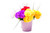 Flower Carnation Bunch 7 Head