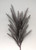 Decorative Grass Black 130cm Stem