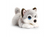 Signature Cuddle Puppy Huskie 25cm