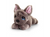 Signature Cuddle Puppy French Bulldog 25cm