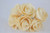 Colourfast Open Foam Roses with Glitter Edge L 8cm Pk6 Cream