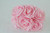 Colourfast Open Foam Roses with Glitter Edge L 8cm Pk6 Baby Pink