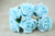 Foam Roses S 5.5cm Pk6 Baby Blue