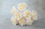 Colourfast Foam Roses with Tulle Wrap L 8cm Pk8 Cream