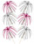 Tall Palm Picks Foil Silver Pink Pk30