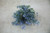 Mini Wax Flower Bush Blue