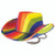 Pride Rainbow Adult Cowboy Hat