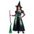 Green Spider Witch Age 8 to 10