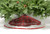 100cm red tartan merry christmas tree skirt