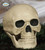 Fake Human Skull with Removable Plastic Jaw 20cm