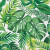 Palm Tropical Napkins Pk16 2Ply