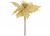 22cm Poinsettia Gold