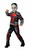 Ant Man Deluxe L Age 7 to 8 Years