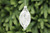 Clear Glass Crackle Effect Olive with Leaves Bauble 13cm