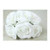 Foam Roses S 5.5cm Pk6 White Foam Roses S 5.5cm Pk6 White