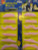 Moustaches Pk12 Pink Moustaches Pk12 Pink