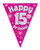 Pink Holographic Bunting 11 Flags Age 15