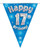 Blue Holographic Bunting 11 Flags Age 17