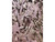 Shredded Tissue Paper Rose Gold 20g