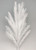 Decorative Grass White 130cm Stem