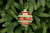 8cm red glass bauble with green and white glitter