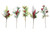 Glitter Berry Pick Choose from 5 assorted styles