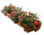 Pinecone tealight holder x4 glass 16x8x47cm