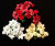 Sparkle Rose Poinsettia Bush 3 Colours