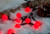 50 Fit and Forget Battery Operated Red Multifunction Berry Lights