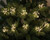 LED STARBURST FAIRY LIGHTS 10 PIECE WARM WHITE