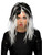 Two Tone Streak Wig Black and White