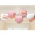 Rose Gold Blush Lanterns Pk5