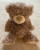 Teddy Bear Brown Small